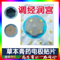�ݱ���ҩ�缫��Ƭ2Ƭ