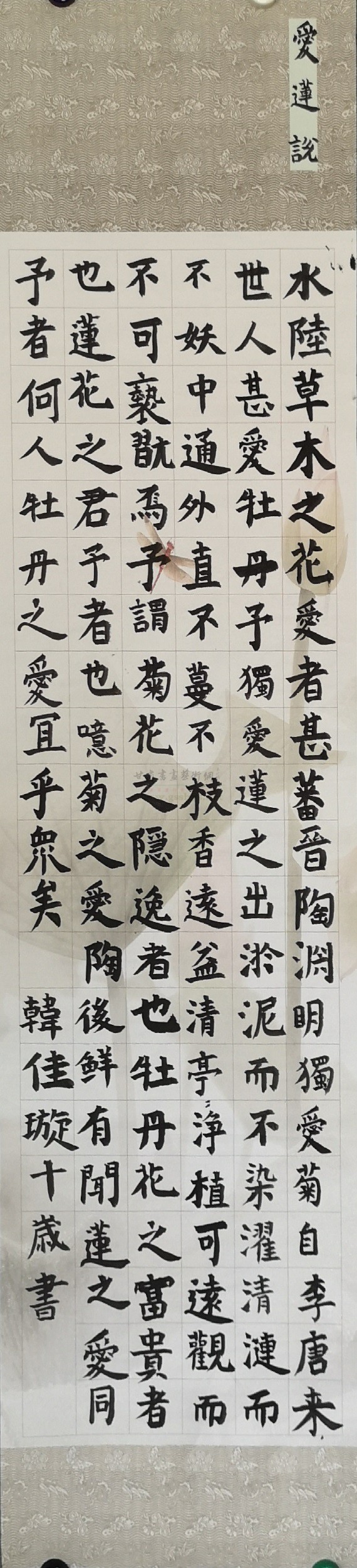 1724298129371148.jpg