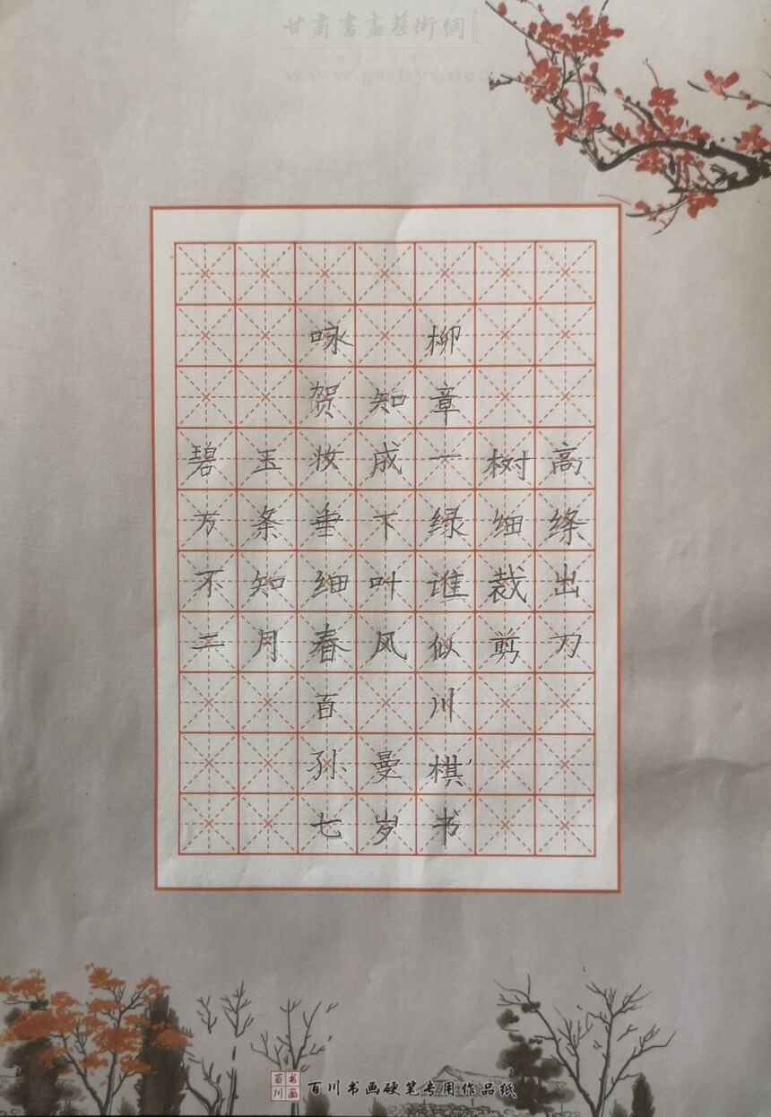 1724725943181601.jpg