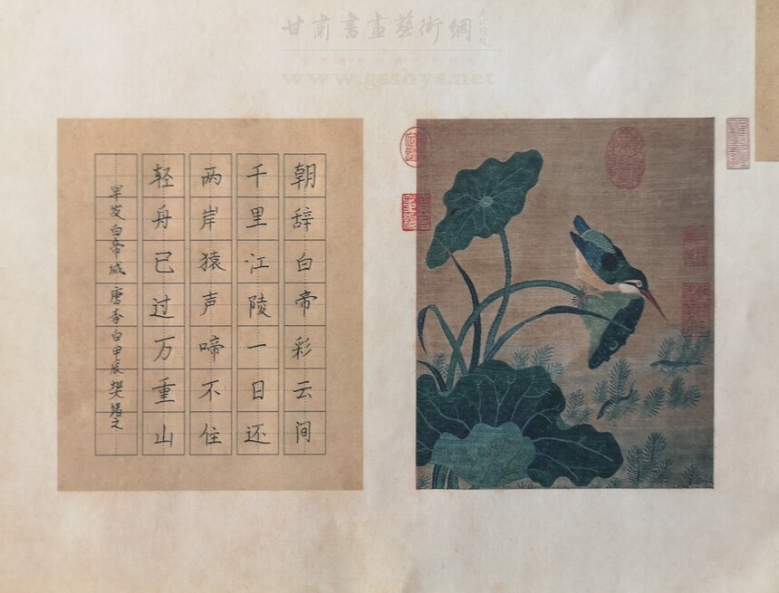 1724731691653540.jpg