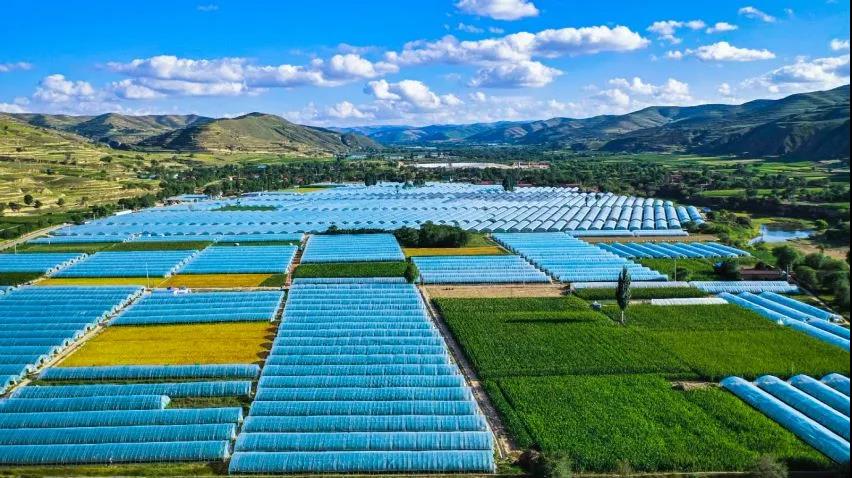 1629859852533743.jpg 微信图片_20210825104121.jpg