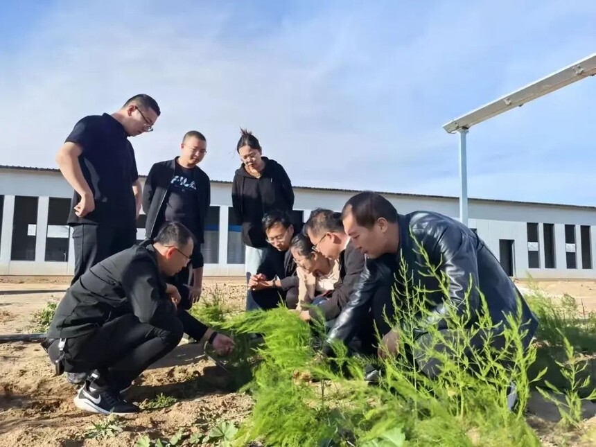 1755067207175860.jpg c30b800abbbd7360f789ddfb6e38b110.jpg