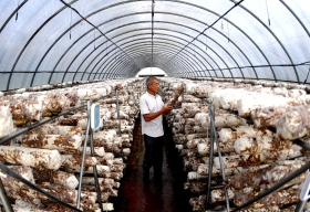 郭某与程某菌菇大棚合伙合同纠纷一审民事判决书 郭某与程某菌菇大棚合伙合同纠纷一审民事判决书