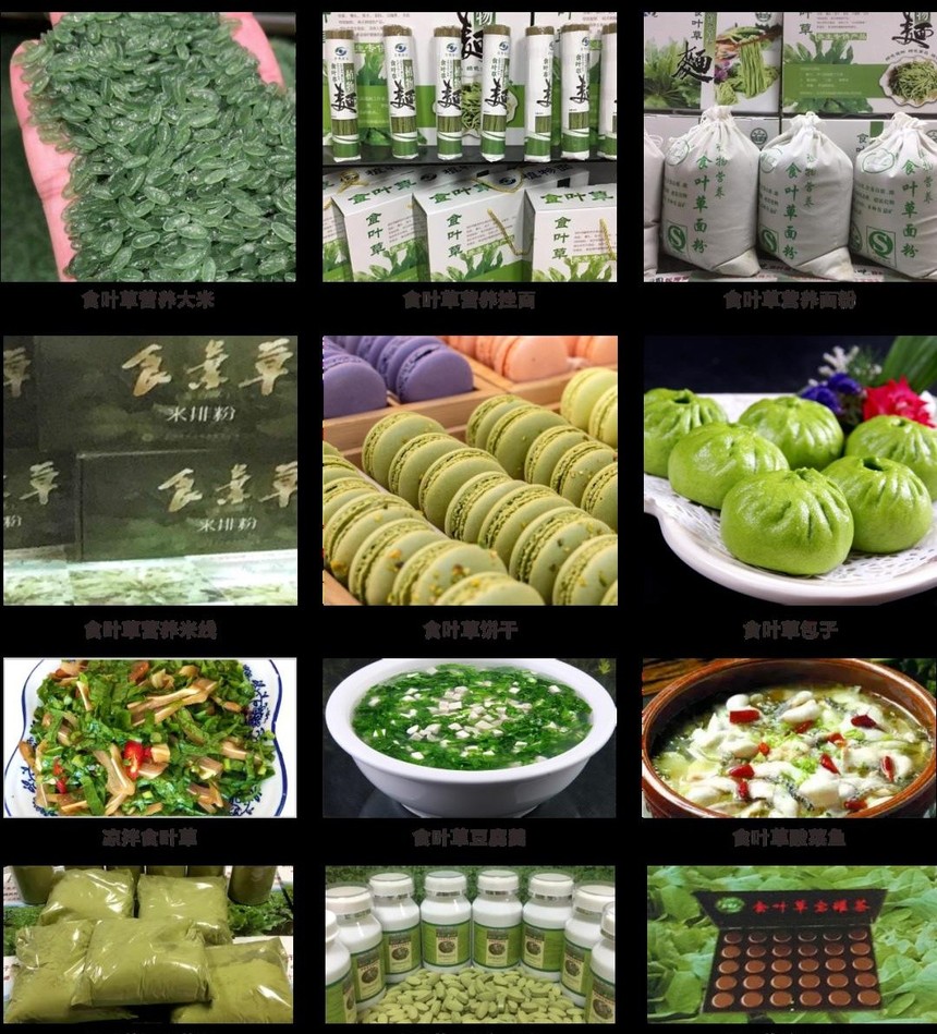 食叶草挂面75元300g10包箱