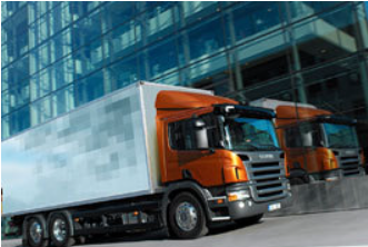 1766215209682521.jpg 12.jpg