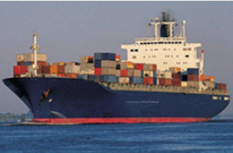 1768028075284657.jpg 8.jpg