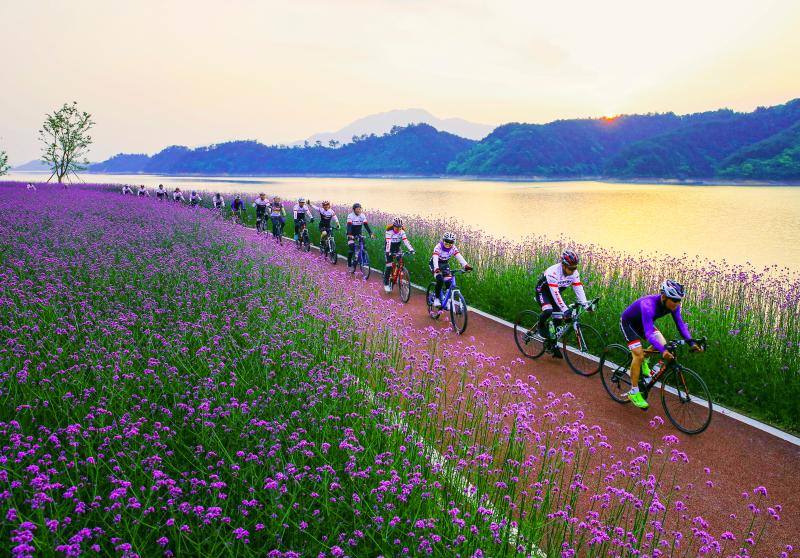 环千岛湖骑行绿道已全线贯通_毅路体育