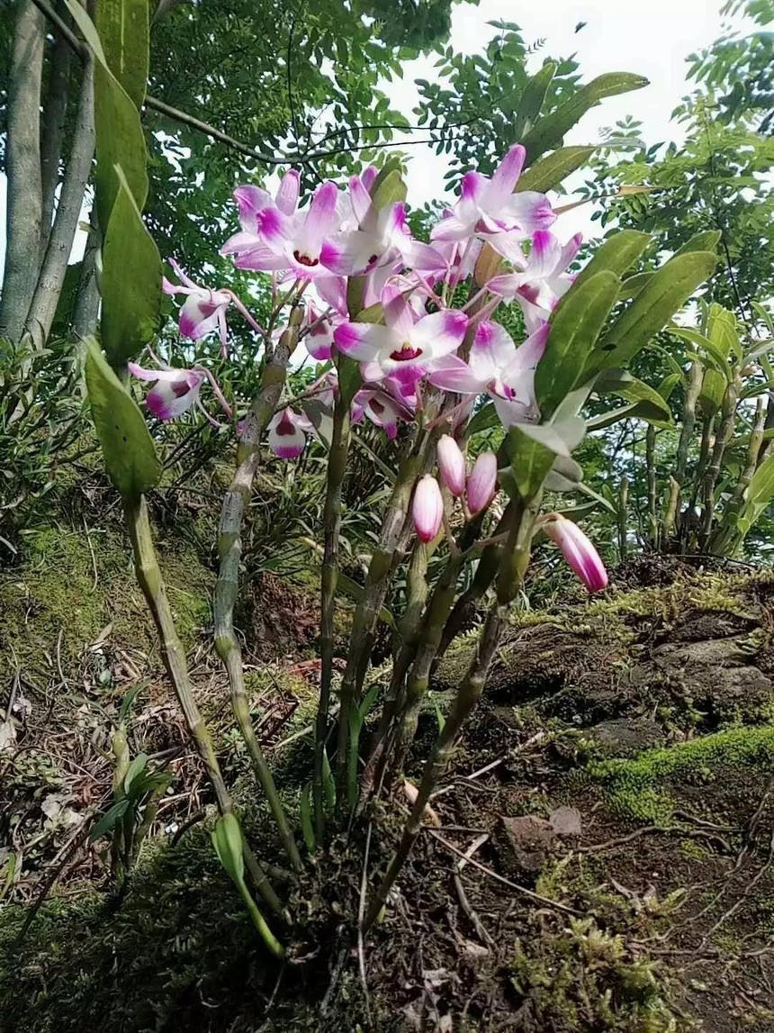 ΢��ͼƬ_20201008191741.jpg