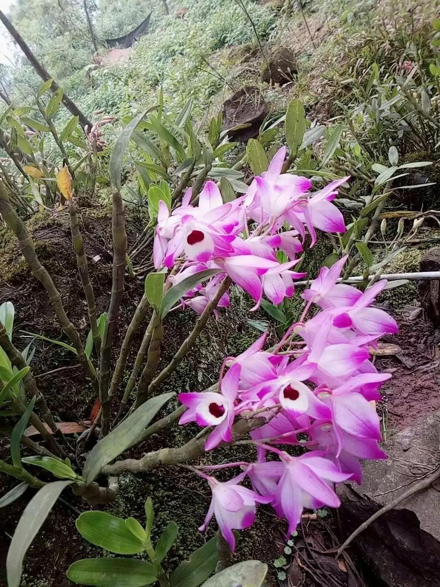 ΢��ͼƬ_20201008191756.jpg