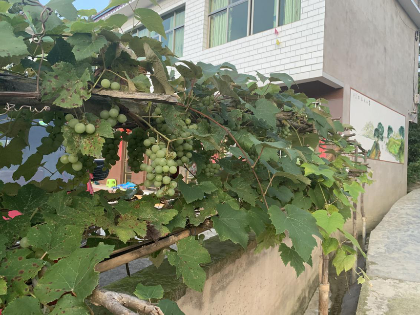 1610035251190341.png 图片36.png
