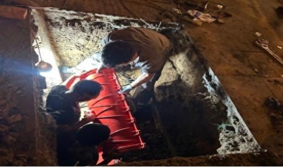 �������ά��_������ͨ���±���_����ͨ�Ÿ���ά��