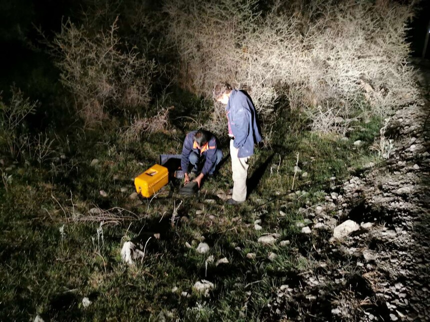 ȫ������ͨ�ŷ���������ͨ_�½����ŷ�Ѵ��ʩ_ֱ����¼��