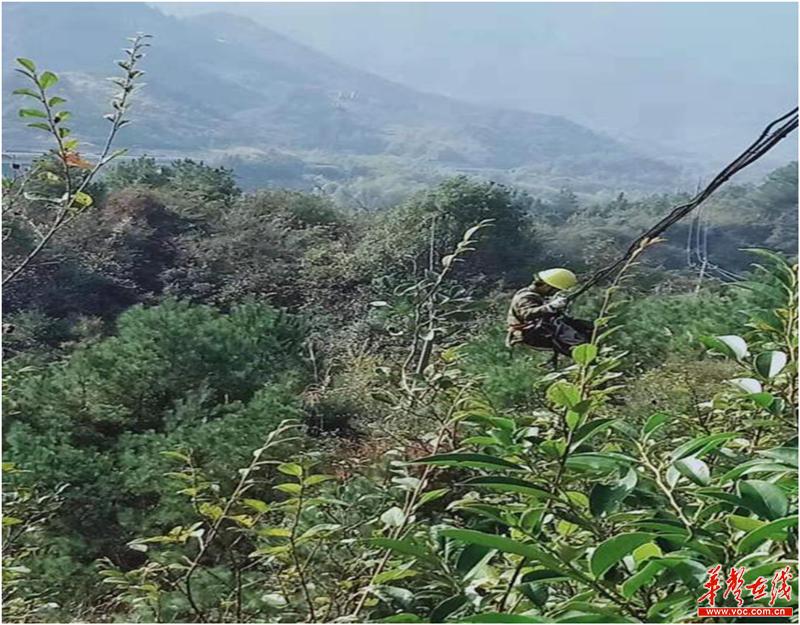 ������³���_ɽ��ͨ�Ž���_ƽ����ͨ�Źµ�