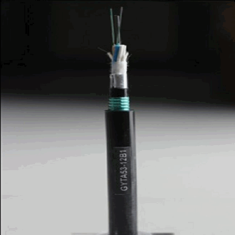 ���ⵥģ����GTYA