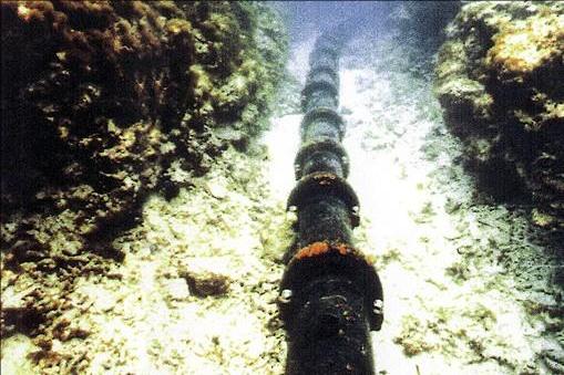 ���׹������谲ȫ��_���׹�����ԭ��_����������ó���