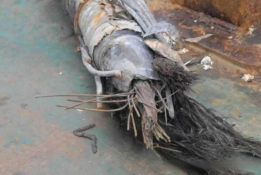 ���׹�����ԭ��_����������ó���_���׹������谲ȫ��