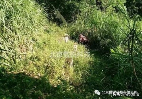 ֱ����¼��_��ɱ��ҵ���ݼ�_ֱ����³���