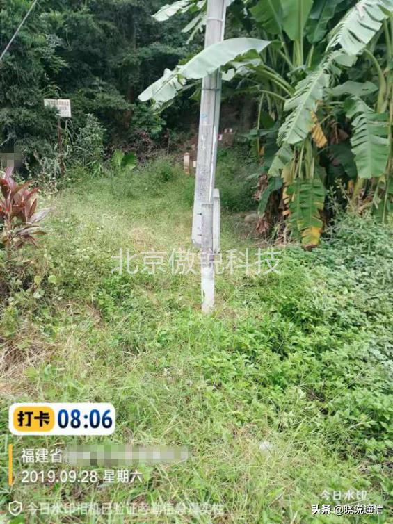 ֱ����³���_��ɱ��ҵ���ݼ�_ֱ����¼��