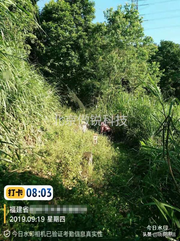 ֱ����³���_ֱ����¼��_��ɱ��ҵ���ݼ�