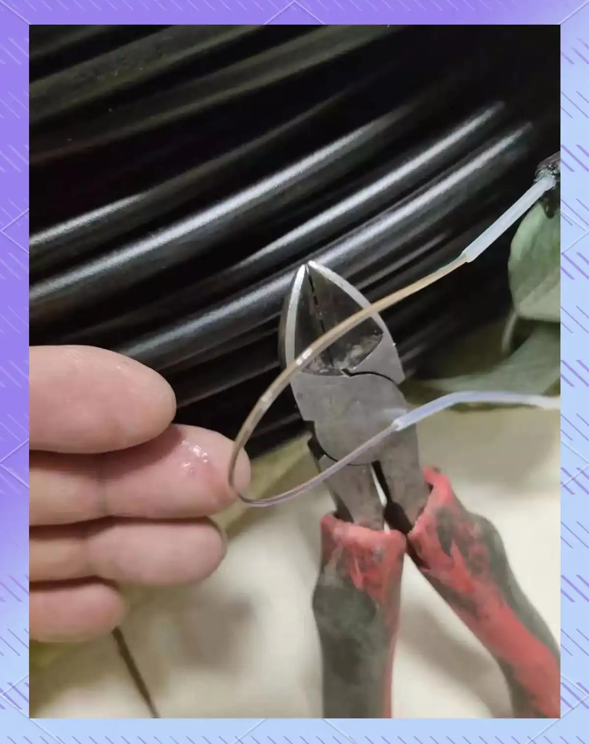 �����������_������о�ȼ�A��vsC��D��_���ʹ��¸�˿���ʼ����׻�����