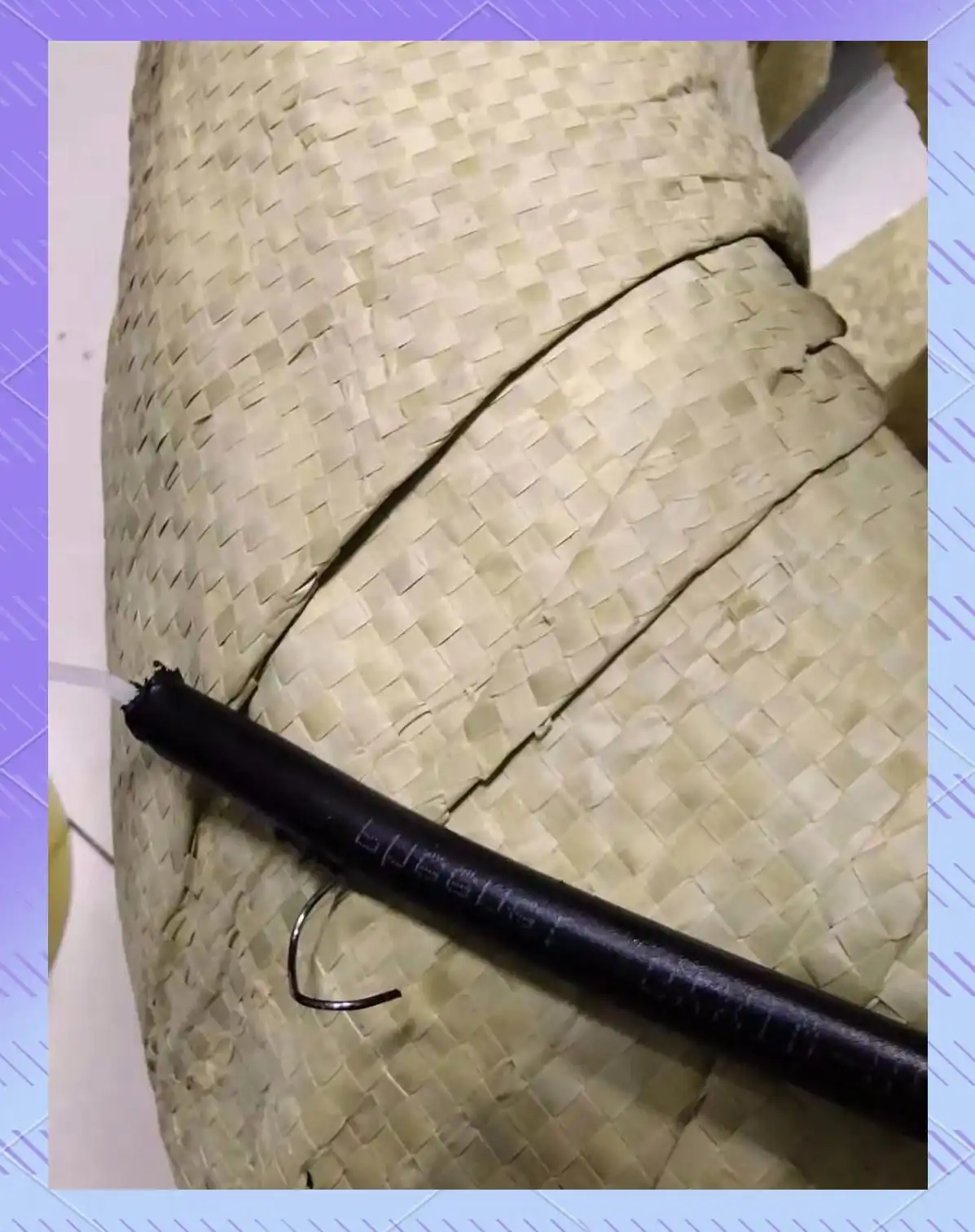 ������о�ȼ�A��vsC��D��_�����������_���ʹ��¸�˿���ʼ����׻�����