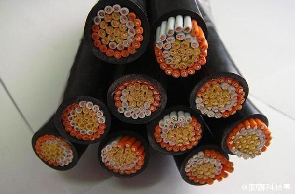 2025�����˹�����ҵҪ ������ �ˣ���Щ�������֪����