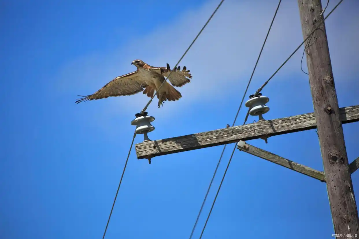 �������÷�Χ_ֱ�����Ӧ������_����װ���õ��ߵ���Ӧ������