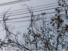 ��������_���Ƹ۵�������ͨ�Ź�������_������������ͨ�Ź��������Ե�