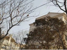 ��������_���Ƹ۵�������ͨ�Ź�������_������������ͨ�Ź��������Ե�