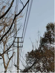 ��������_���Ƹ۵�������ͨ�Ź�������_������������ͨ�Ź��������Ե�