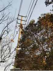 ������������ͨ�Ź��������Ե�_���Ƹ۵�������ͨ�Ź�������_��������