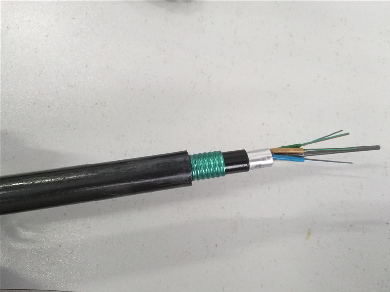 ����ֱ��24о���¶���