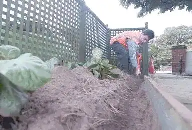 室内光缆铺设_光纤入户过程_光缆处理与熔接