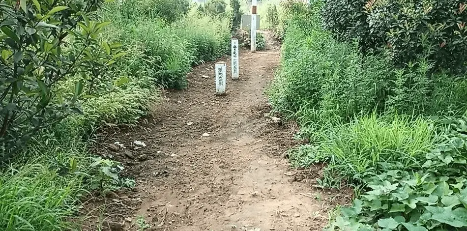 �������ά��_����������Ҫ��_��������ά���淶