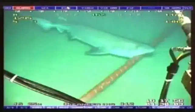 海底光缆铠装保护_直埋光缆应用领域_海底光缆铺设过程