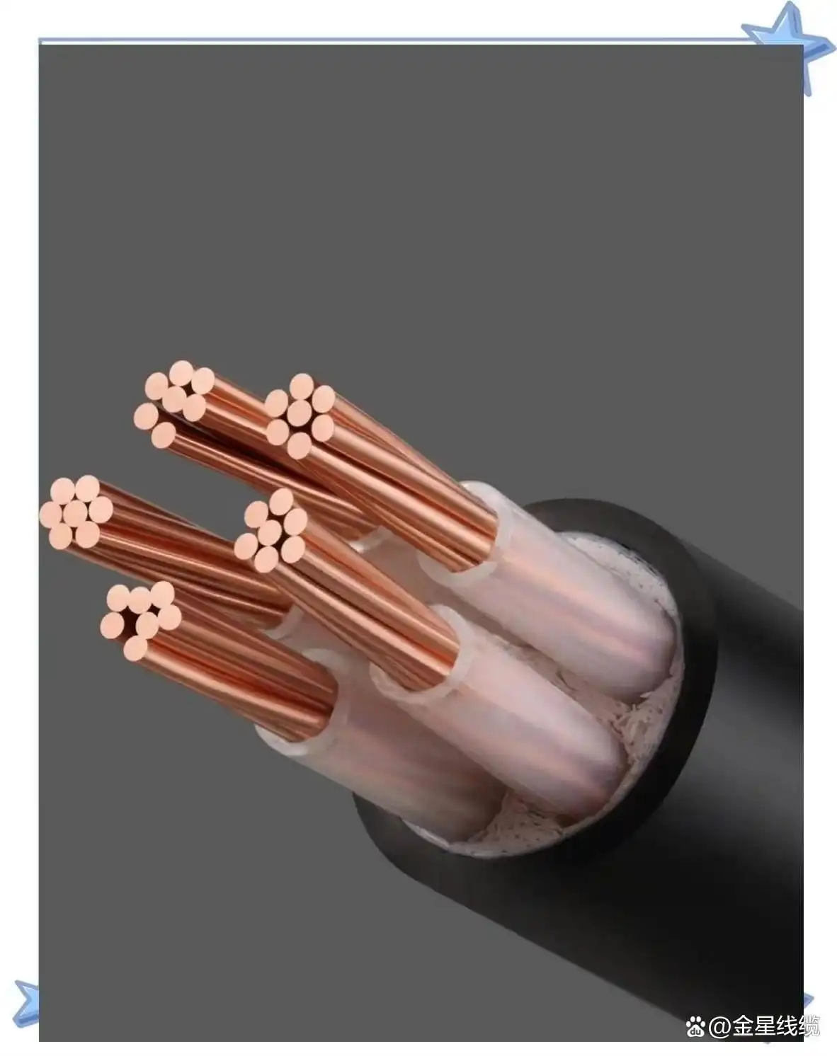 ���������ҵ��չ����_��������г�ǰ������_��������г�����