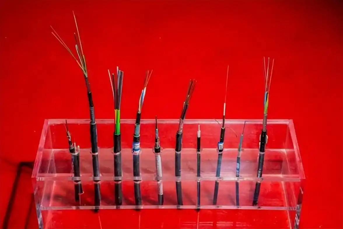 ���ڹ�����ҵ��Ѷ_�й����˲�ҵ����_ͨ�Ź��˷�չ����