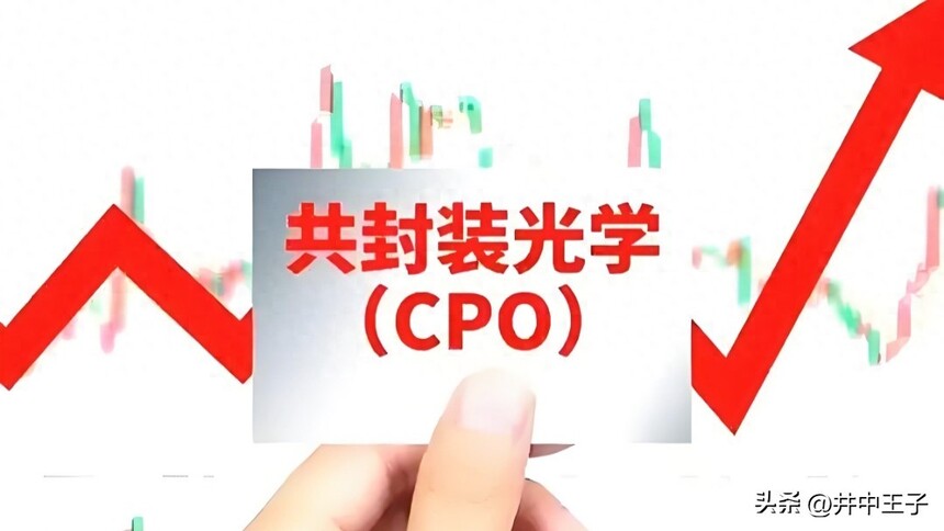 ��ģ����ͷ��ҵ_CPO����_���ڹ�����ҵ��Ѷ