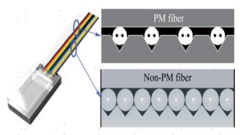 ����������AI�����г�_������·�չ����_�������Ļ���DCI�г�