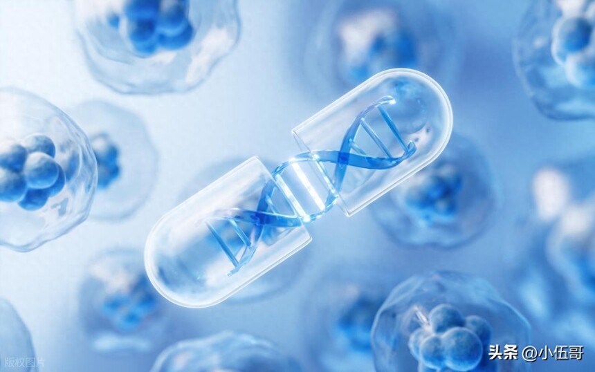 ���ɹ��˻��������_����������ҵǰ��_���ɹ��˹ɼ۷���