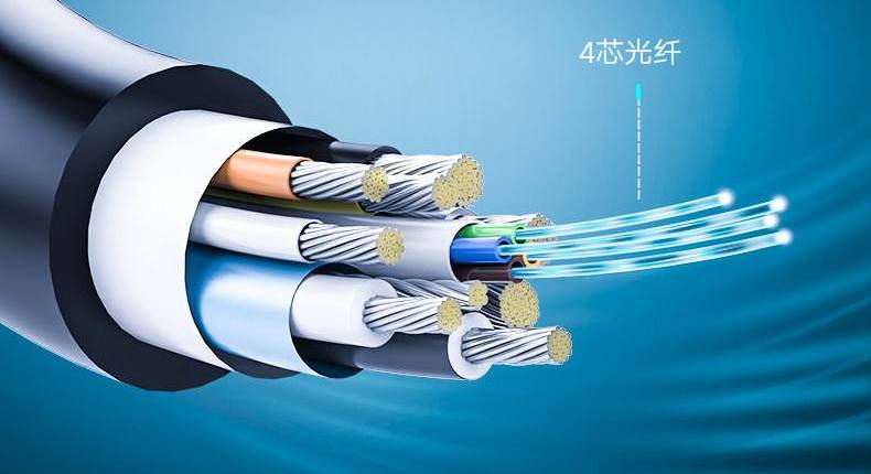 ������·�չ����_���˼۸��Ƿ�ԭ����Ӫ��Ӧ�Բ���_2026����˼۸��Ƿ��˹㶫������ͣ�ɹ�