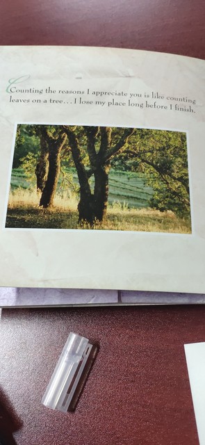 6000о����_���ڹ�������_�������Ϳ�����