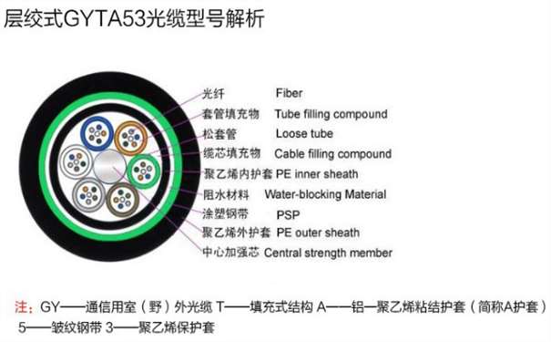 ֱ����¼��_����ֱ�� GYTA53���� GYFTA53����