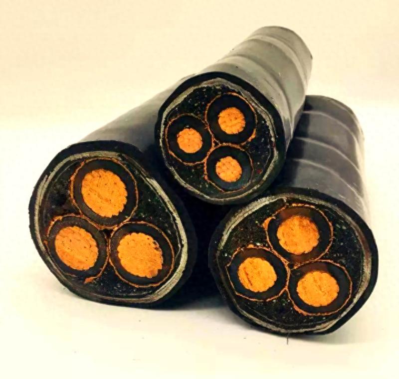 �����̱��������޹�˾�ۺ�ʵ������_ֱ����³�������_2026���ѹ���¶��Ʒ���������