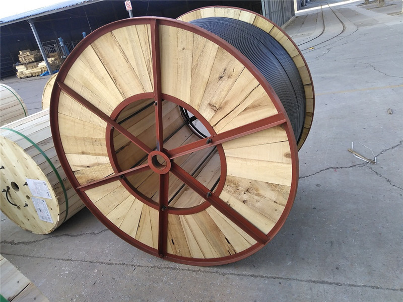 OPGW-24B1�������³���