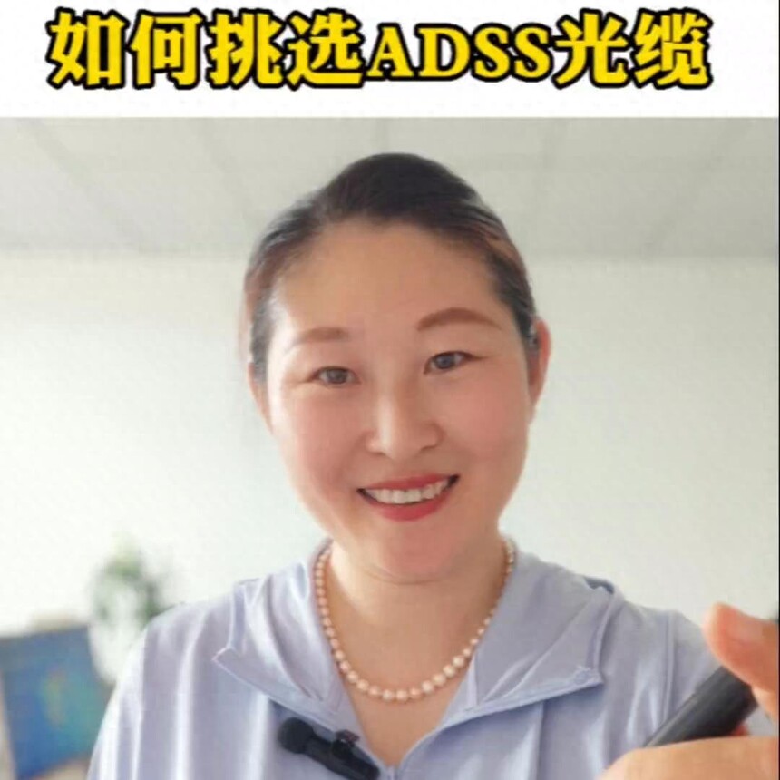 ѡ��ADSS����_ADSS����ѡ��ָ��_ADSS������ҵ����