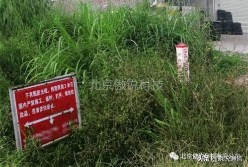 直埋光缆除草_傲杀工业除草剂_直埋光缆厂家排名