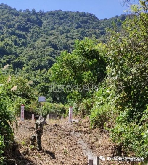 直埋光缆厂家排名_傲杀工业除草剂_直埋光缆除草