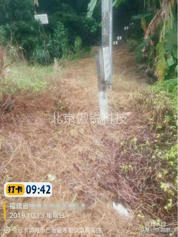 直埋光缆厂家排名_直埋光缆除草_傲杀工业除草剂