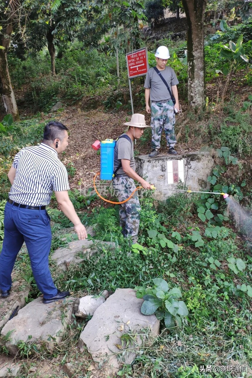 直埋光缆除草_傲杀工业除草剂_直埋光缆厂家排名